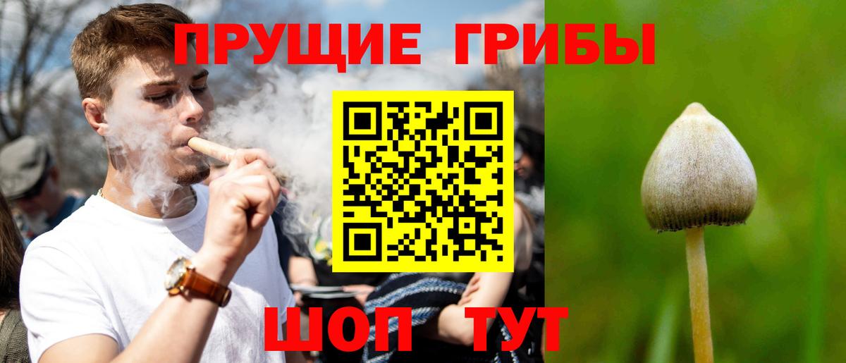 Галлюциногенные грибы Psilocybine cubensis Чайковский